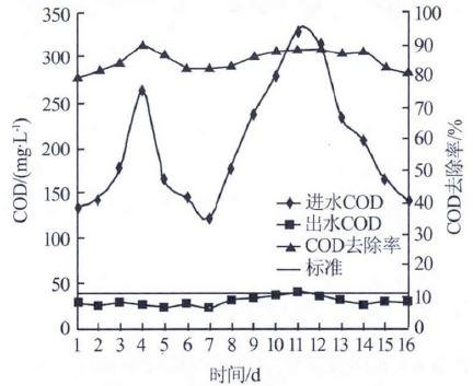 標定階段COD 處理效果.jpg